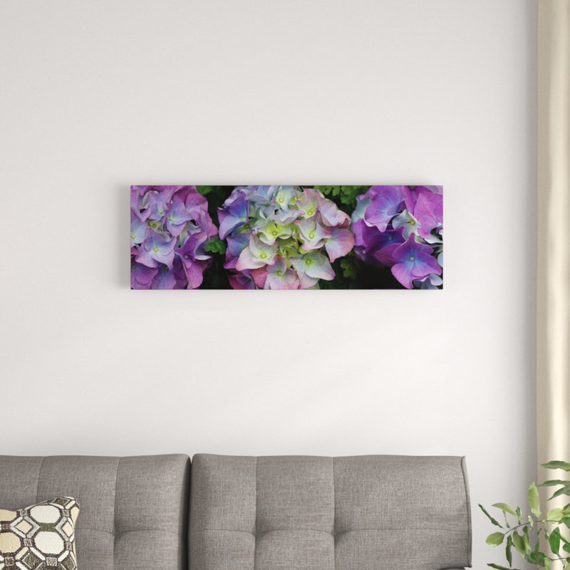 «Close-Up of Hydrangea Flowers II», reproduction de photo sur toile, H 12 po x l 36 po x P 1,5 po, Toile tendue