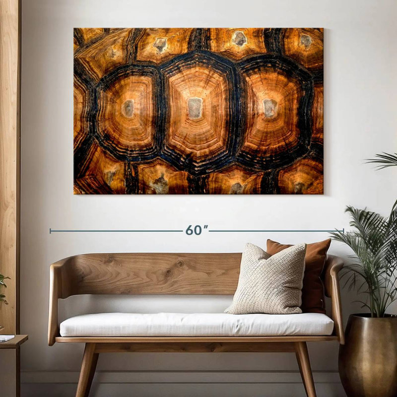 Brampt Turtle Carapace Texture, 34" H x 51" W
