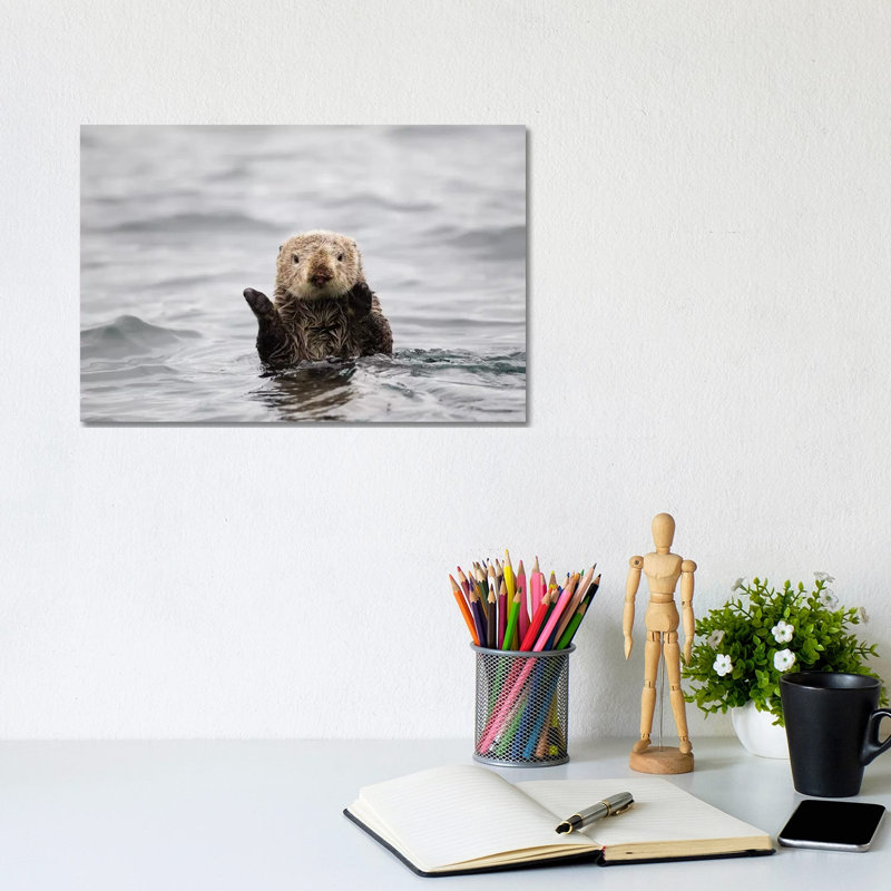 Sea Otter, Katmai, Alaska by Jaymi Heimbuch - Wrapped Canvas Print, 20.32 cm H x 30.48 cm W
