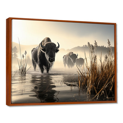 «Gray Buffalo Misty Morning Grazing I», reproduction d'art sur toile