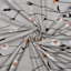 Mcfadden Duvet Cover with Pillow Shams