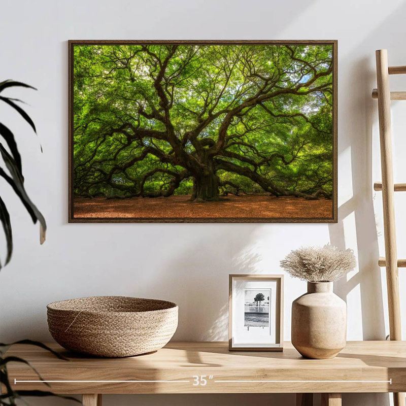 Oak, 25" X 17", Floating Frame Walnut