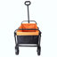 Mini chariot de plage pliable-123263027