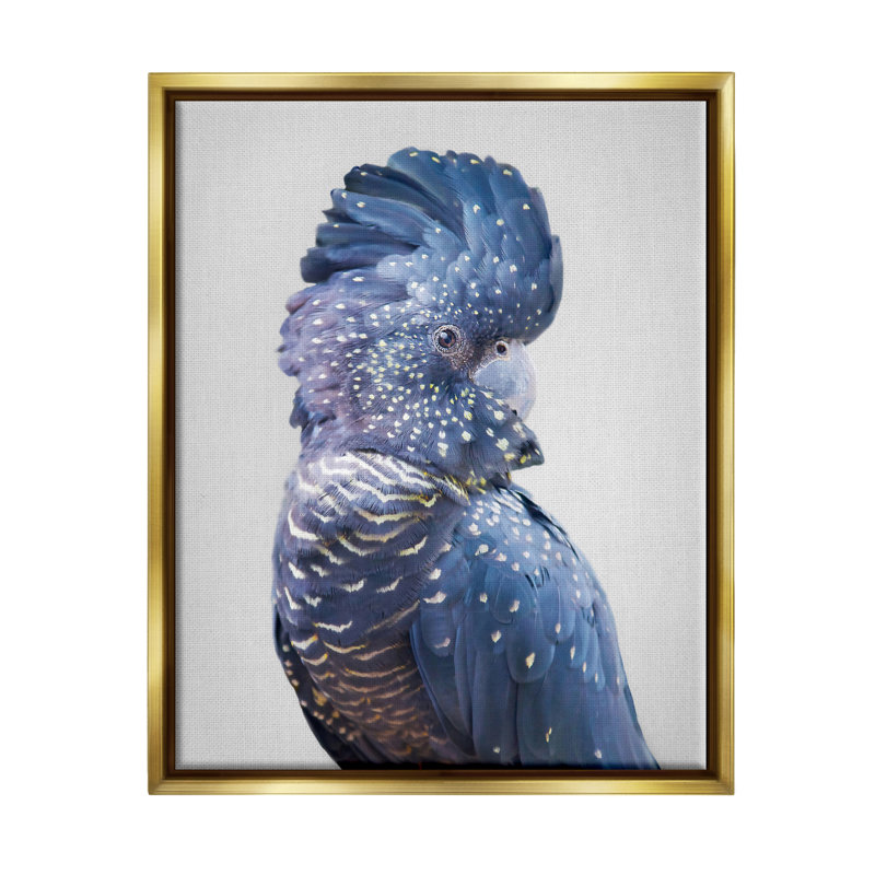 «Stupell Industries Grey Cockatoo Portrait», art mural sur toile par Sissi et Seb, H 31 po x l 25 po x P 1,7 po