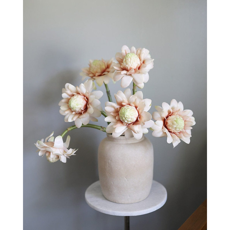 Faux Green Waratah Protea 16.5”, Pink, 31" H x 6" W
