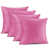 Rose clair est en rupture de stock