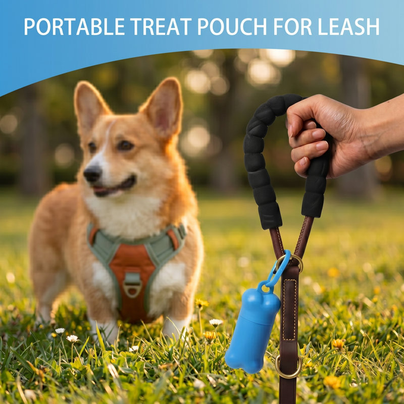 Porte-collation compact pour chien en forme d'os, pochette d'entraînement portable pour les petites races, idéale pour les promenades et l'entraînement basé sur les récompenses, bleu, paquet simple