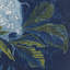 Chestnut Print by Henri Braakensiek