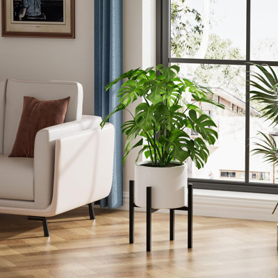 Plant Stand