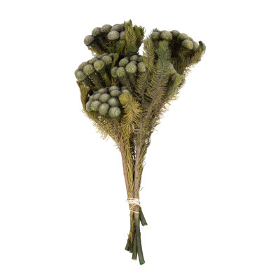 Preserved Faux Floral