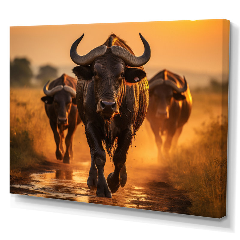 Parc national du Serengeti, Tanzanie VI, H 12 po x l 20 po, Toile tendue