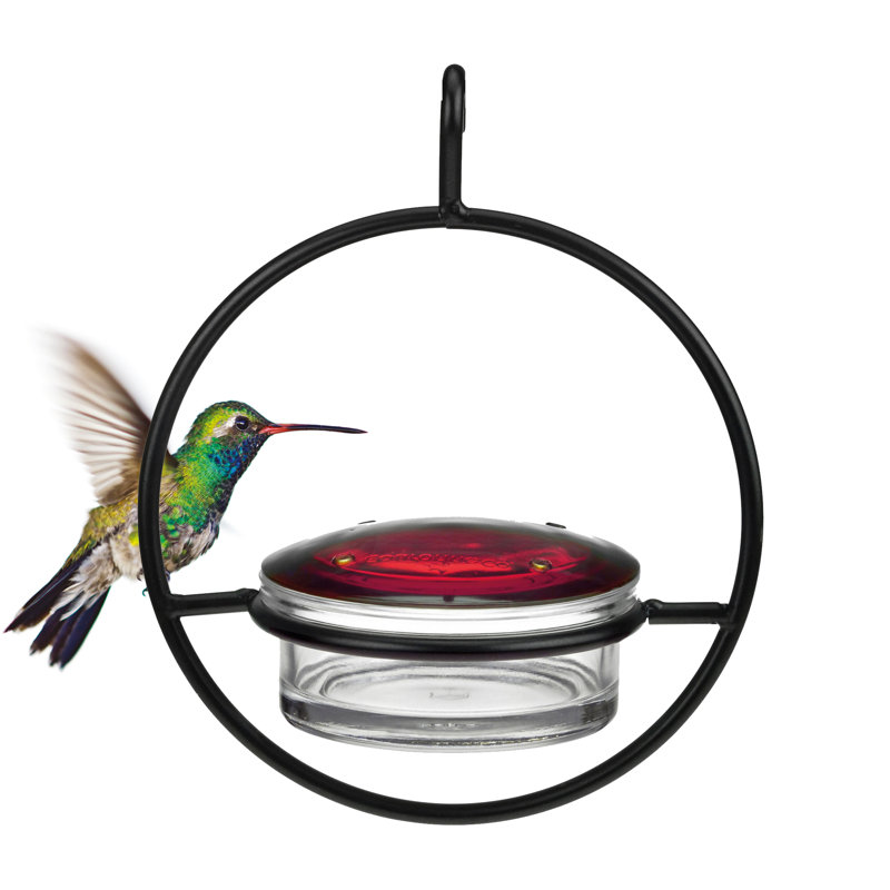 Mangeoire à colibri en verre recyclé Dieatra - Capacité de 3,4 oz de nectar, mangeoire à 4 ports pour l'extérieur avec couvercle rouge