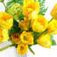 Artificial Arrangement-106401588