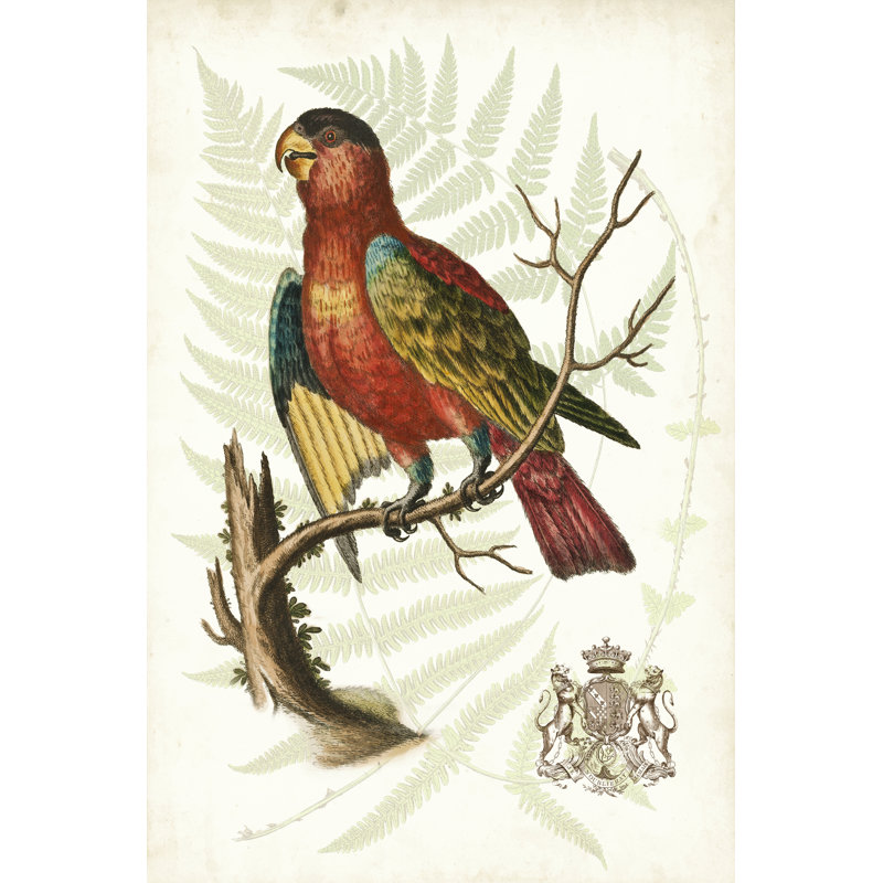 Regal Parrots II 1 Piece Wrapped Canvas Wall Art, 91cm H x 61cm W x 3.8cm D