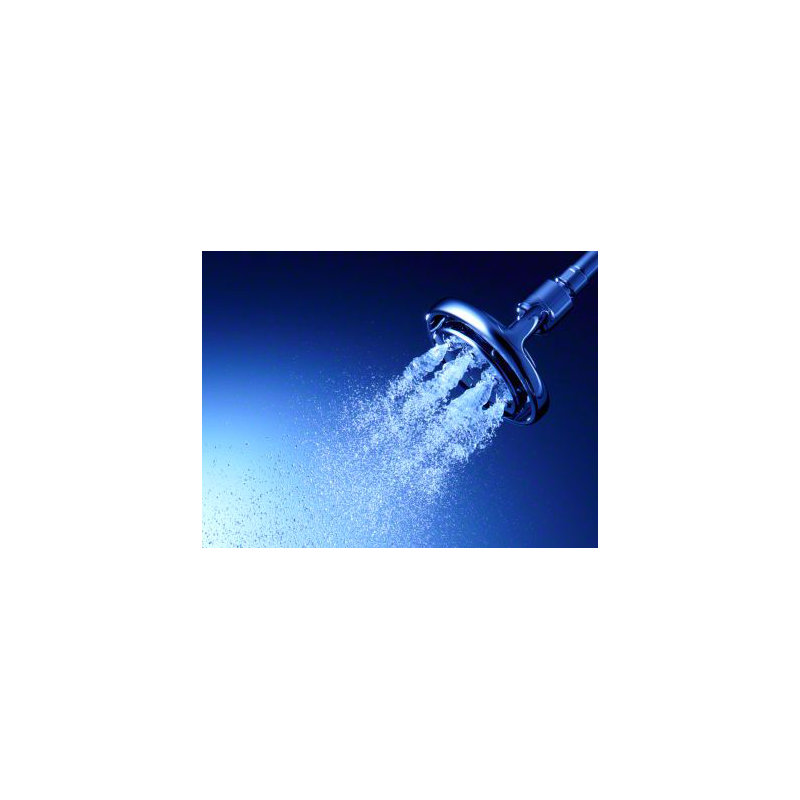 Flipside 2.5 GPM Multifunction Wall-Mount Showerhead