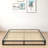Galatia 6.3'' Low Profile Bed Frame with Wood Slats No Box Spring Needed-294283430