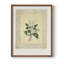 Impression florale rétro sur papier-956840459-956840458