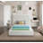 Ishia Upholstered Platform Bed-88302777-88302780