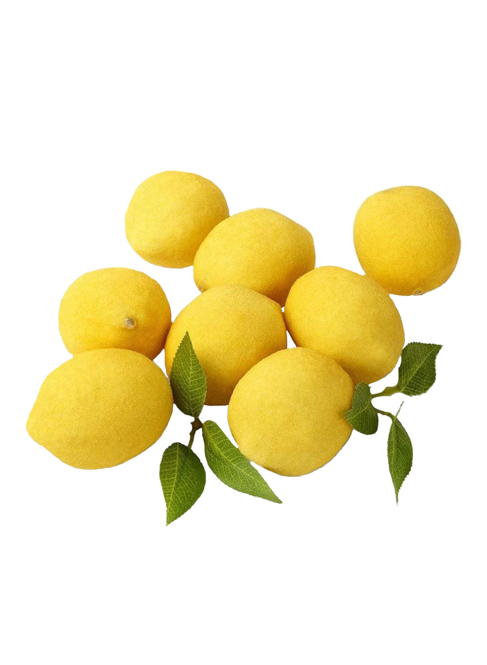 Serene Spaces Living 8 of Pieces Leaves Decorative Lemons Sculpture Set & Reviews | Wayfair