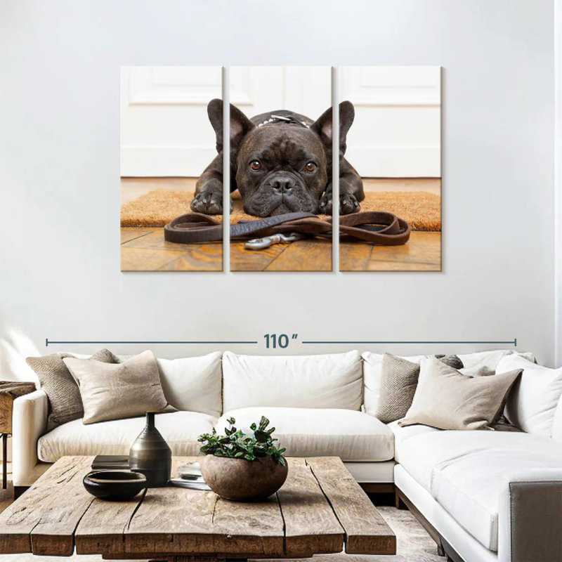 French Bulldog Waiting, 48" H x 74" W