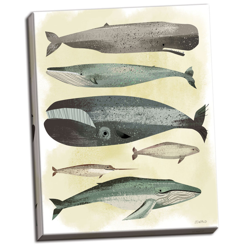 « baleines », impression, Toile tendue, H 16 po x l 12 po x P 0,75 po