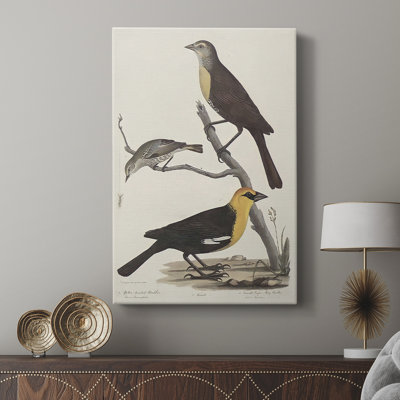 Imprimé animalier rétro - galerie Cavas