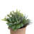 7" Artificial Succulent in Planter