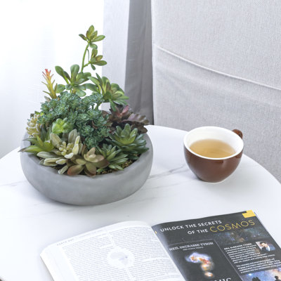 Benita 7'' Faux Succulent in Cement Pot