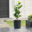 Handmade Modern Gray MgO 14.17" Round Pot Planter