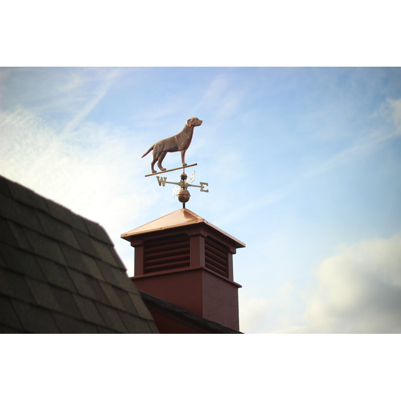 37'' H Metal Animals Weathervane, Polished Copper, Yes