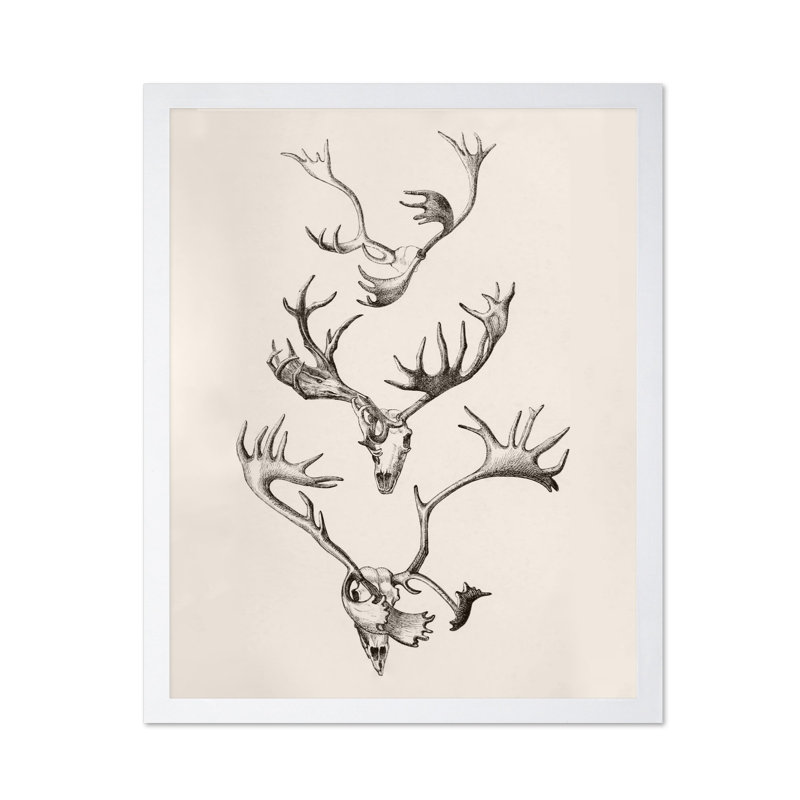 Crâne et bois, Poster, White Framed, 08"H x 10"W