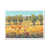 White Framed Paper Print