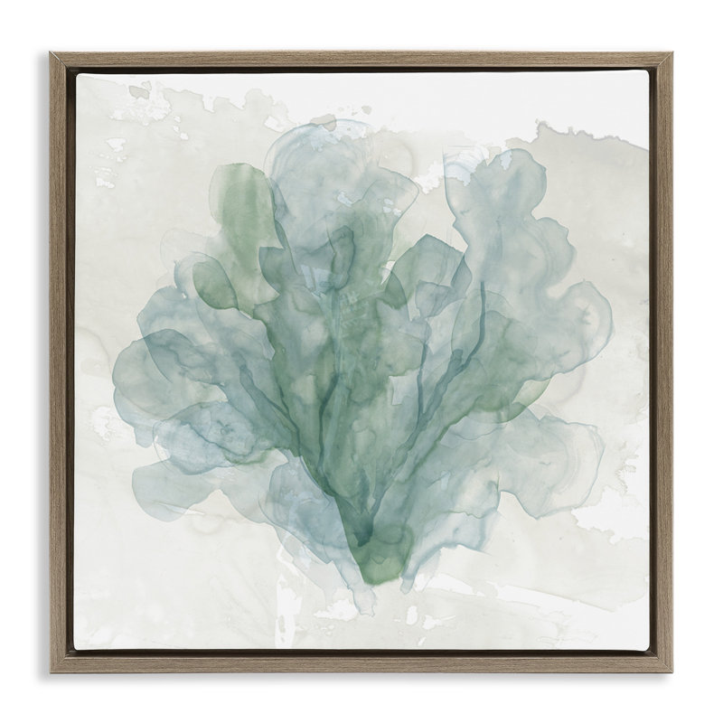 Abstraction subtile de corail, H 25 po x l 25 po, Cadre flottant orme Montalcino