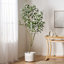 200 cm de feuilles artificielles EUCALYPTUS BONSAï