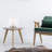 Chaidez 22cm Table Lamp