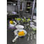 Fantasia Salad Servers-39022933