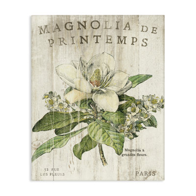 «French Magnolias in Spring», art mural surdimensionné sur toile tendue par Sue Schlabach