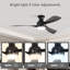 Ventilateur de plafond 1 lumière 52 pouces Sofucor