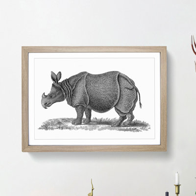 Rhinoceros in Black & White by George Shaw - Picture Frame Drawing Print