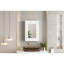 Armoire de rangement de salle de bain murale 20 "avec miroir-950480368