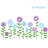 Plants & Flowers Non-Wall Damaging Wall Decal-16321673