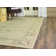 Evanoff Taupe Area Rug