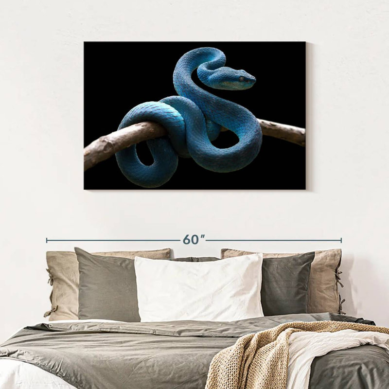 Brampt Blue Viper Snake, 30" H x 45" W