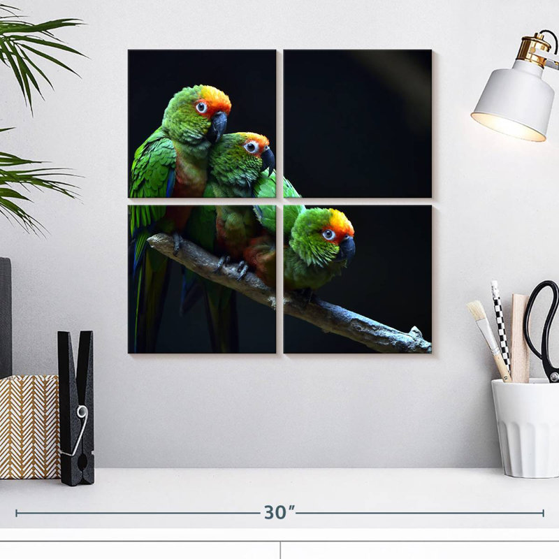 Brampt Golden Capped Parakeets, 18" H x 18" W
