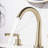 Widespread 2-handle Bathroom Faucet