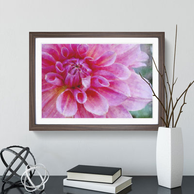 Pink Flower in Blossom - Framed Print