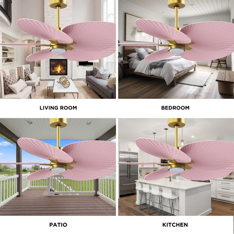 Alessandra Tropical - Five Blade Ceiling Fan - Integrated LED -Matte Black Finish -Light Blue Blades, Brushed Brass