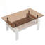 Table basse rectangulaire avec plateau en verre brun et tablette en bois aggloméré-743319033-743319032