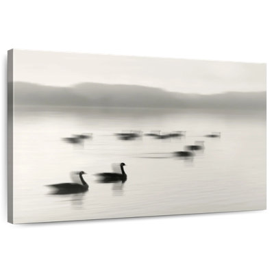 Oies sur le lac Melton