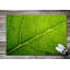 Non-Slip Outdoor Doormat